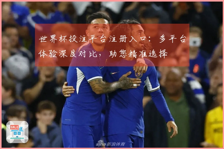 世界杯投注平台注册入口：多平台体验深度对比，助您精准选择