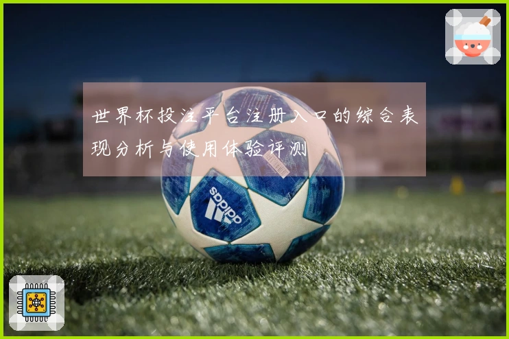 世界杯投注平台注册入口的综合表现分析与使用体验评测