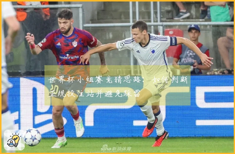 世界杯小组赛竞猜思路：如何判断正规投注站并避免踩雷