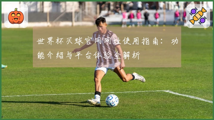 世界杯买球官网网址使用指南：功能介绍与平台体验全解析