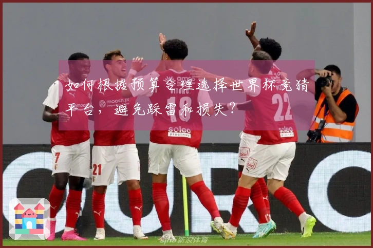 如何根据预算合理选择世界杯竞猜平台，避免踩雷和损失？