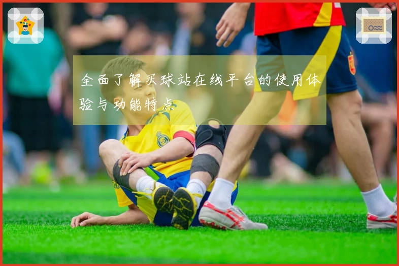 全面了解买球站在线平台的使用体验与功能特点