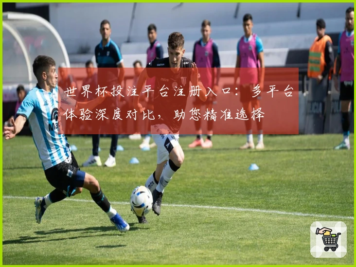 世界杯投注平台注册入口：多平台体验深度对比，助您精准选择