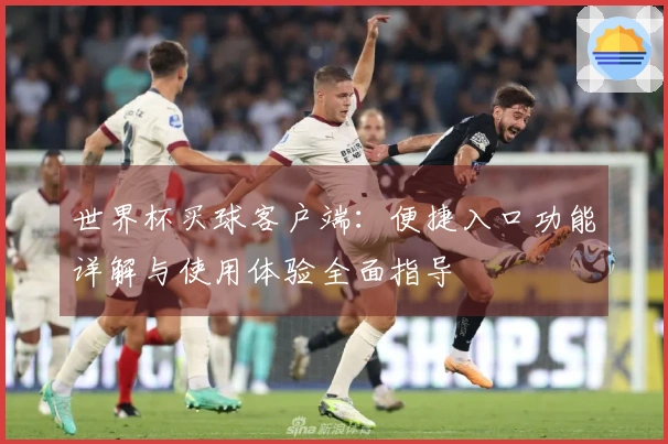 世界杯买球客户端：便捷入口功能详解与使用体验全面指导