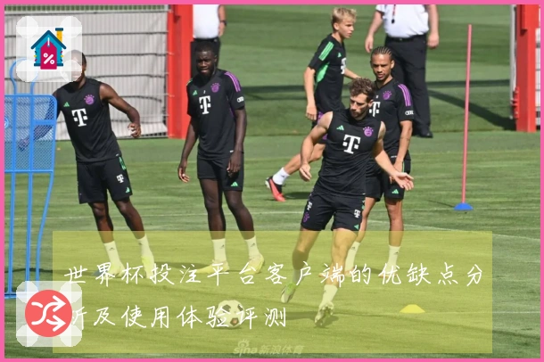 世界杯投注平台客户端的优缺点分析及使用体验评测