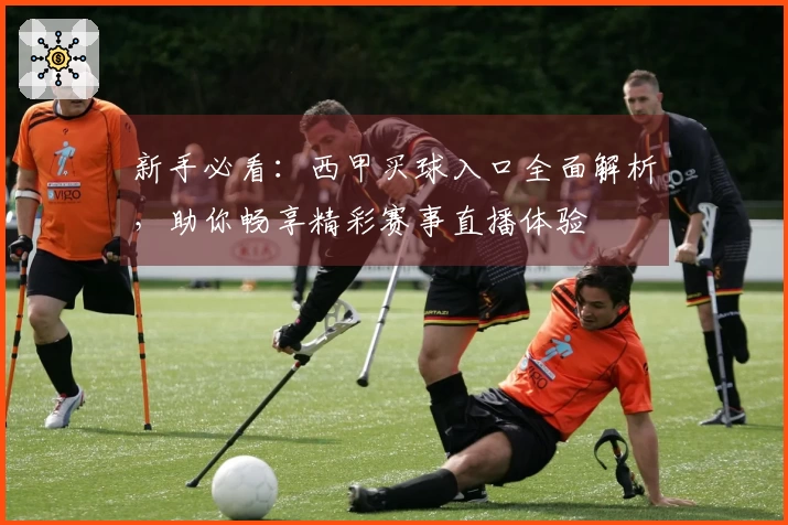 新手必看:西甲买球入口全面解析,助你畅享精彩赛事直播体验