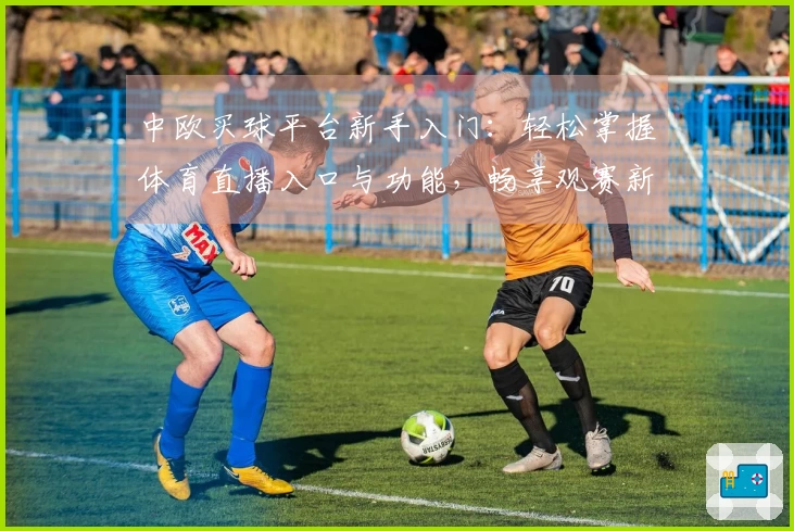 中欧买球平台新手入门：轻松掌握体育直播入口与功能，畅享观赛新体验