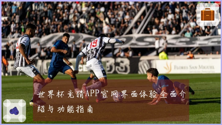 世界杯竞猜APP官网界面体验全面介绍与功能指南
