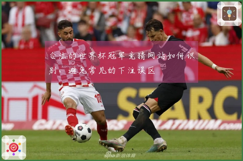 合法的世界杯冠军竞猜网站如何识别，避免常见的下注误区