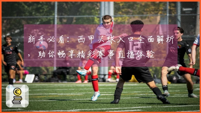 新手必看：西甲买球入口全面解析，助你畅享精彩赛事直播体验