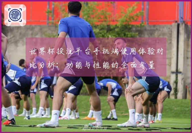 世界杯投注平台手机端使用体验对比分析：功能与性能的全面考量