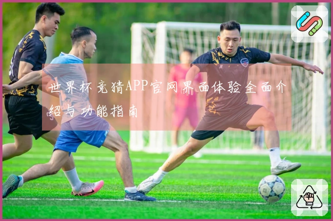 世界杯竞猜APP官网界面体验全面介绍与功能指南